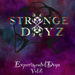 ExperimentvlDvyz Vol. 2