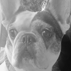 DANCE \   EDM - MASHUP   09/25BBEATSOURCE vs  DJ  STONEWHA