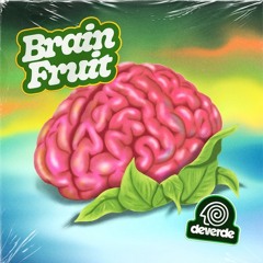 brain fruit | ep. 0.1 | role models