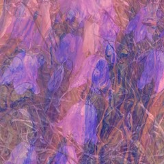 Bluebell Painter