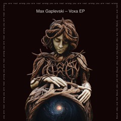 Max Gaplevski - Voxa