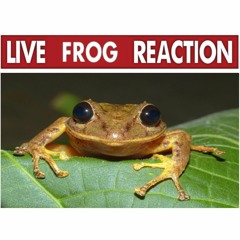 Things are gonna get easier (Slow Reverb) - Low Motion Disco