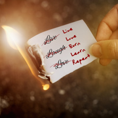Live Love Burn Learn Repeat