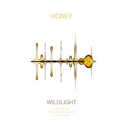Wildlight feat. The Polish Ambassador, Ayla Nereo & Jesse Klein - Honey