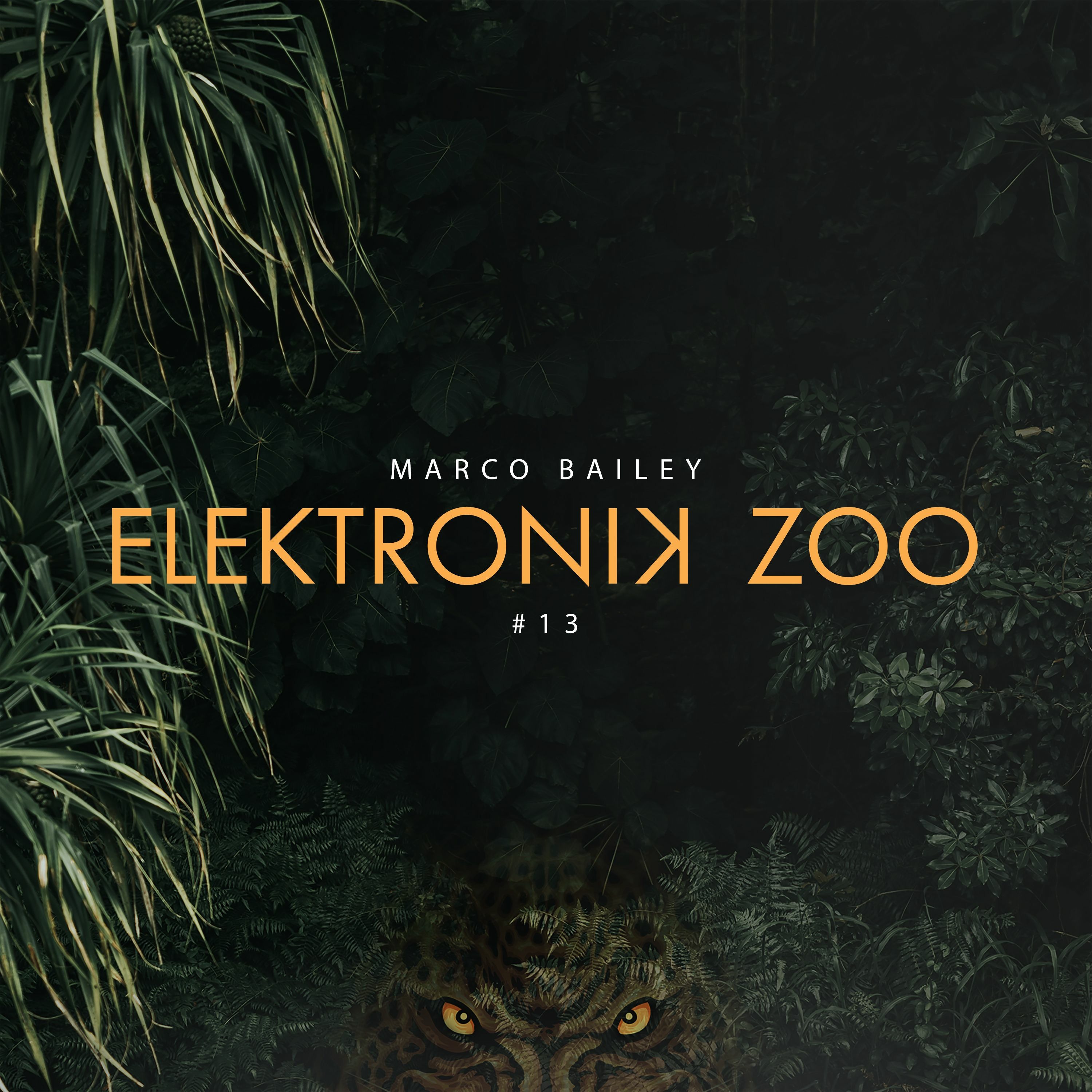 Elektronik Zoo Radio Show 013 with Marco Bailey