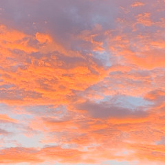 Heartbeats cover - nov 16th heartbreak