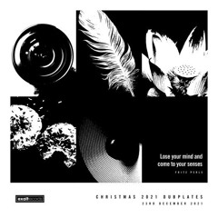 Exalt Xmas Dubplates 2021 (Minimix)