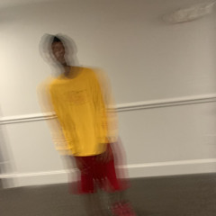GO STOOPID! (prod Eem Triplin)