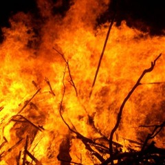 Just Double Flip It By: Dondasinger Produced By Official Pineapple Reacts