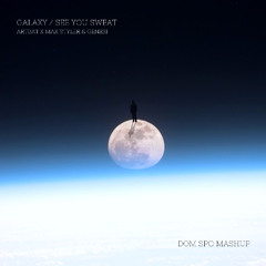 Galaxy / See You Sweat - ARTBAT X Max Styler & GENESI (Dom Spo Mashup)