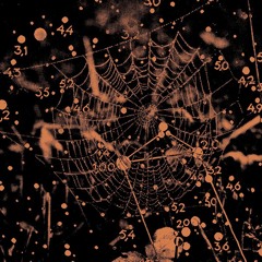 Bradford Cox: October 1958 221025