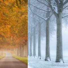 Winter / Spring / Summer 2026