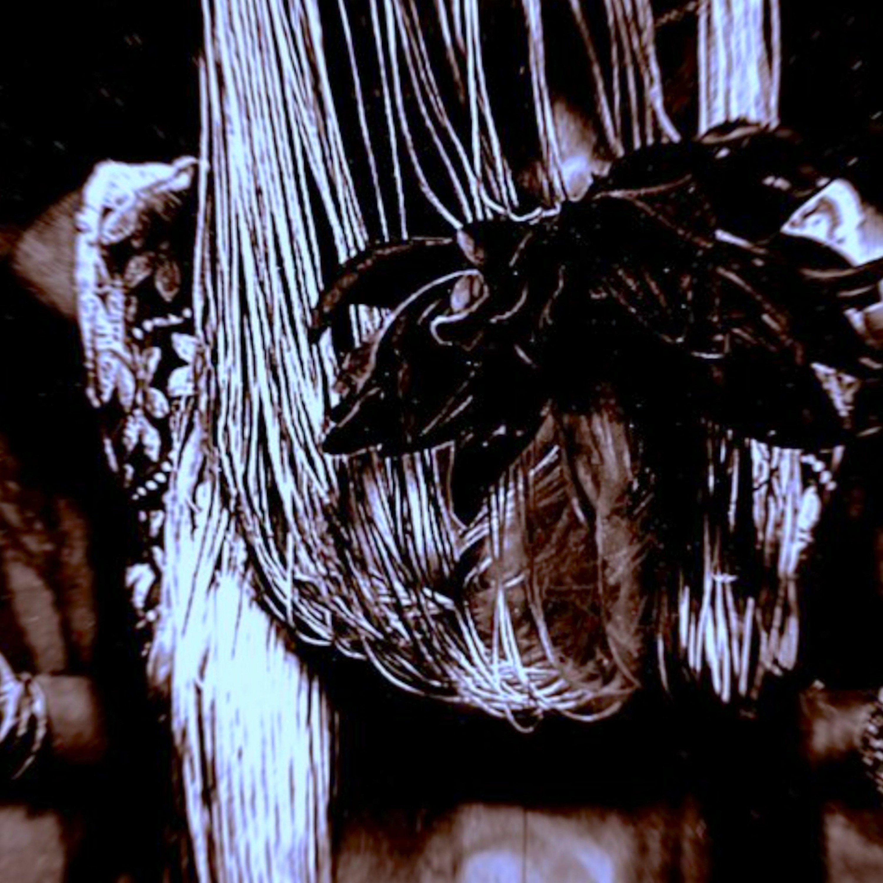 KAUZ KINsKI