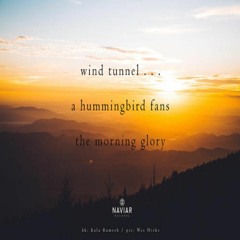 OneAmbient4 - A Humming Bird Fans The Morning Glory (Naviarhaiku 355)