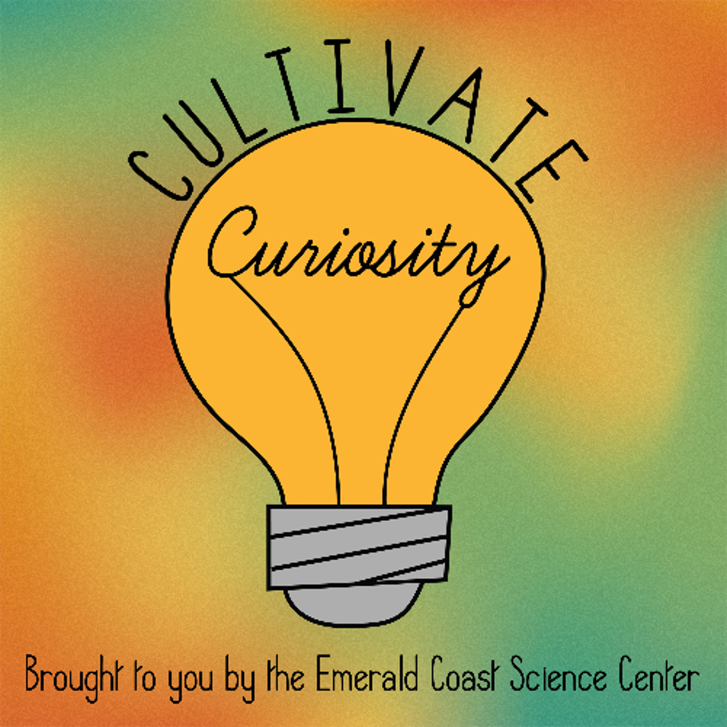 Hatching Hope: Inside Sea Turtle Nesting Season