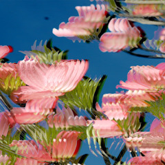 Don't Forget Who You Are