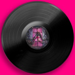 Bootleg Gaga Remix Teaser (DISZKO)
