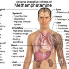 CRANK / METH