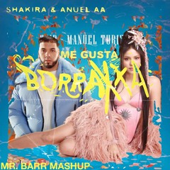 Me Gustas Borraxxa (Mr. Barr Mashup)