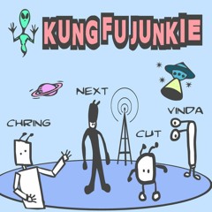 Kung Fu Junkie - Any1