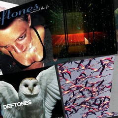 Change (In the House of Flies) - Jacx Bootleg