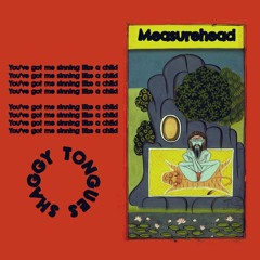 Measurehead