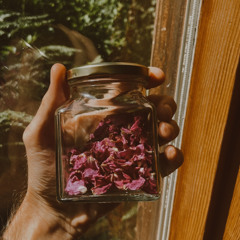 wellspring 𓁹 dance temple salt spring island, british columbia, 6/o8/2o25