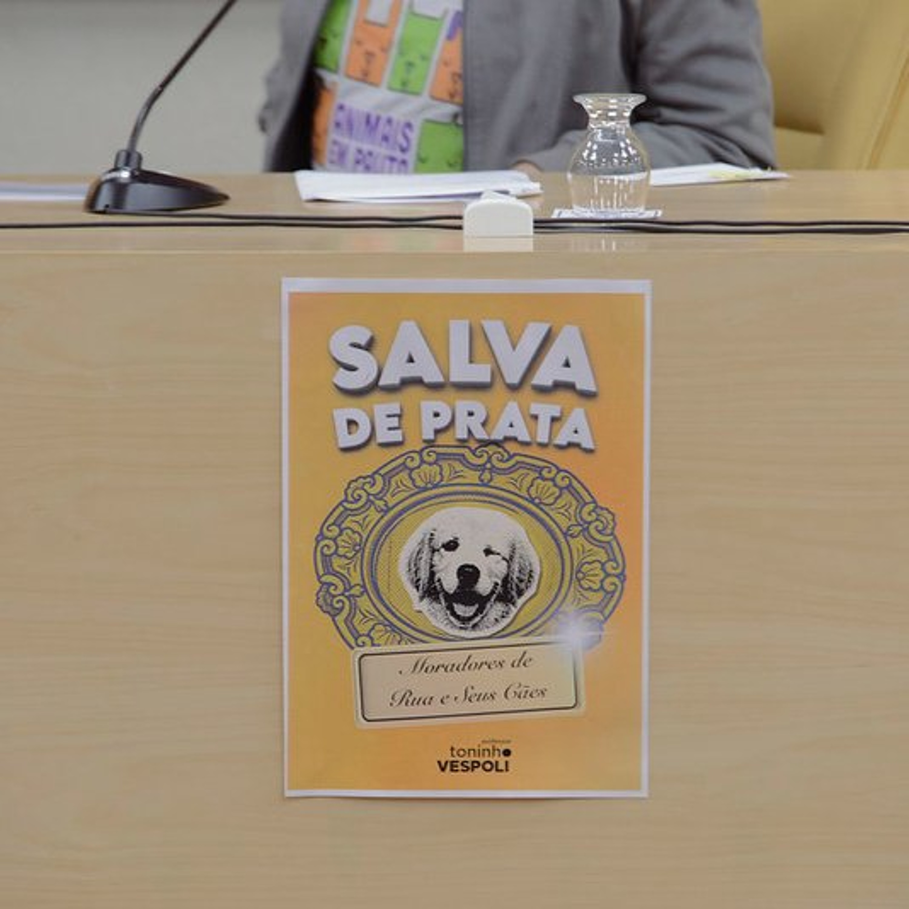 05.10.2026 = ONG, MORADORES DE RUA E SEUS CÃES,  FOI HOMENAGEADA NA CÂMARA DE SP episode artwork
