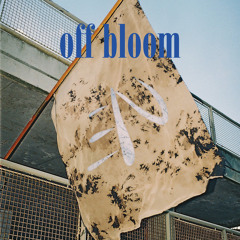 screamo/hc emo/real emo