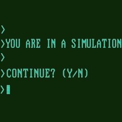Continue? (Y/N)