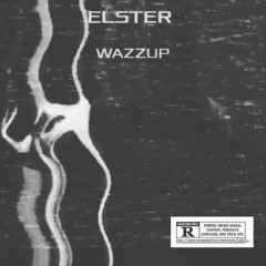 ''ELSTER'' - WAZZUP
