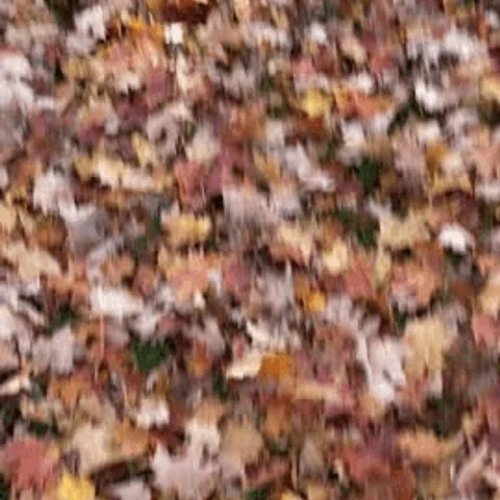 Sleeping with a liar. (snippet)