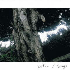 the stem