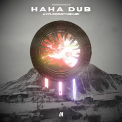 TESSERACTS - HAHA DUB (Aetherboy1 Remix)