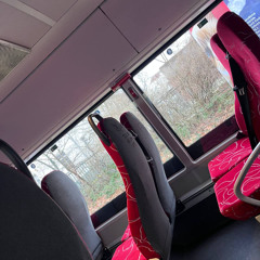 wanna be a bird but ima dog