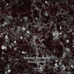 BDT Premiere: Spectral Perception - SP013 - [Petit Astronaute Remix]
