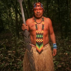 Pajé Metsá Varinawa (Noke Koi) - Tarotî - Aldeia Varinawa