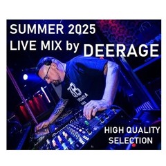 SUMMER VIBE by DEERAGE.mp3