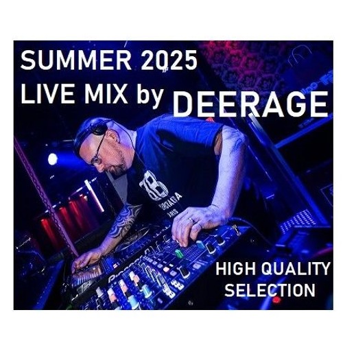 SUMMER VIBE by DEERAGE.mp3