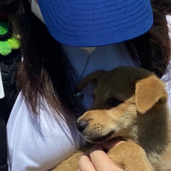 하루에 수천 번 네 생각을 했어