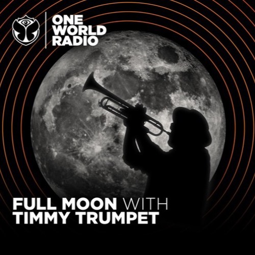 Full Moon with Timmy Trumpet #3