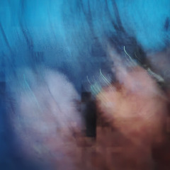 Навсегда в моем сердце