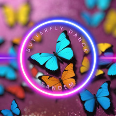 Papillon Party