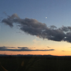 La fille au cerf mast