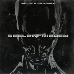 Premiere: Dropix & Mr.Makich - Seelenfrieden