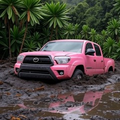 PINK TACOMA