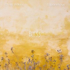 Equanimous, Chad Wilkins - Bless