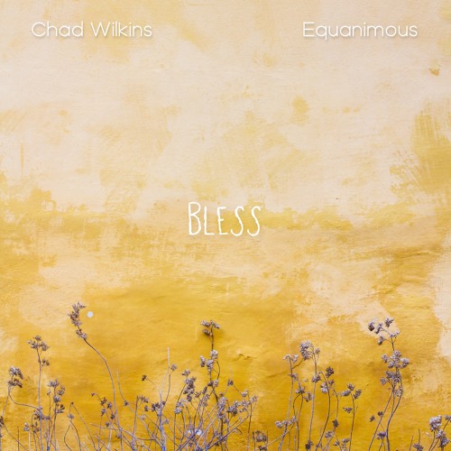 Equanimous, Chad Wilkins - Bless