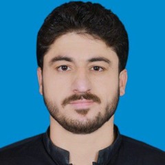 said_wali_wazir_jani_khel_mena_badnama_ba_she(256k).mp3