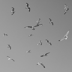 Konstantina Pal •• Fly from here .. @ March 2022 ••